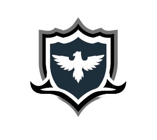 Security Logo